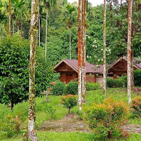 Green Lodge Tangkahan Dış mekan fotoğraf