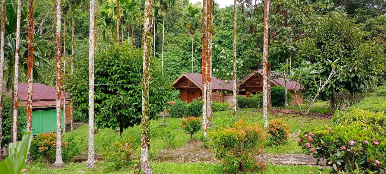 Green Lodge Tangkahan Dış mekan fotoğraf