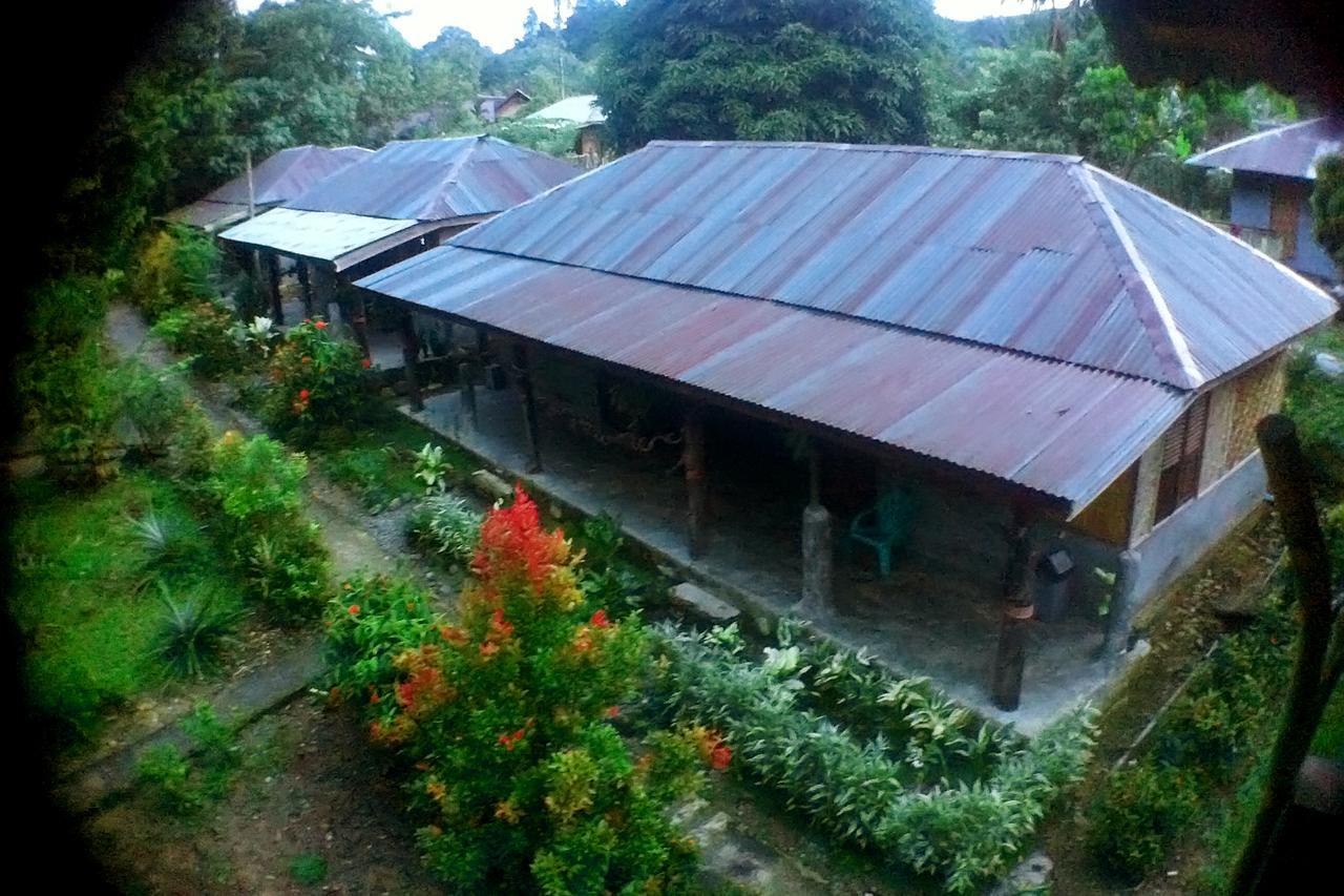 Green Lodge Tangkahan Dış mekan fotoğraf