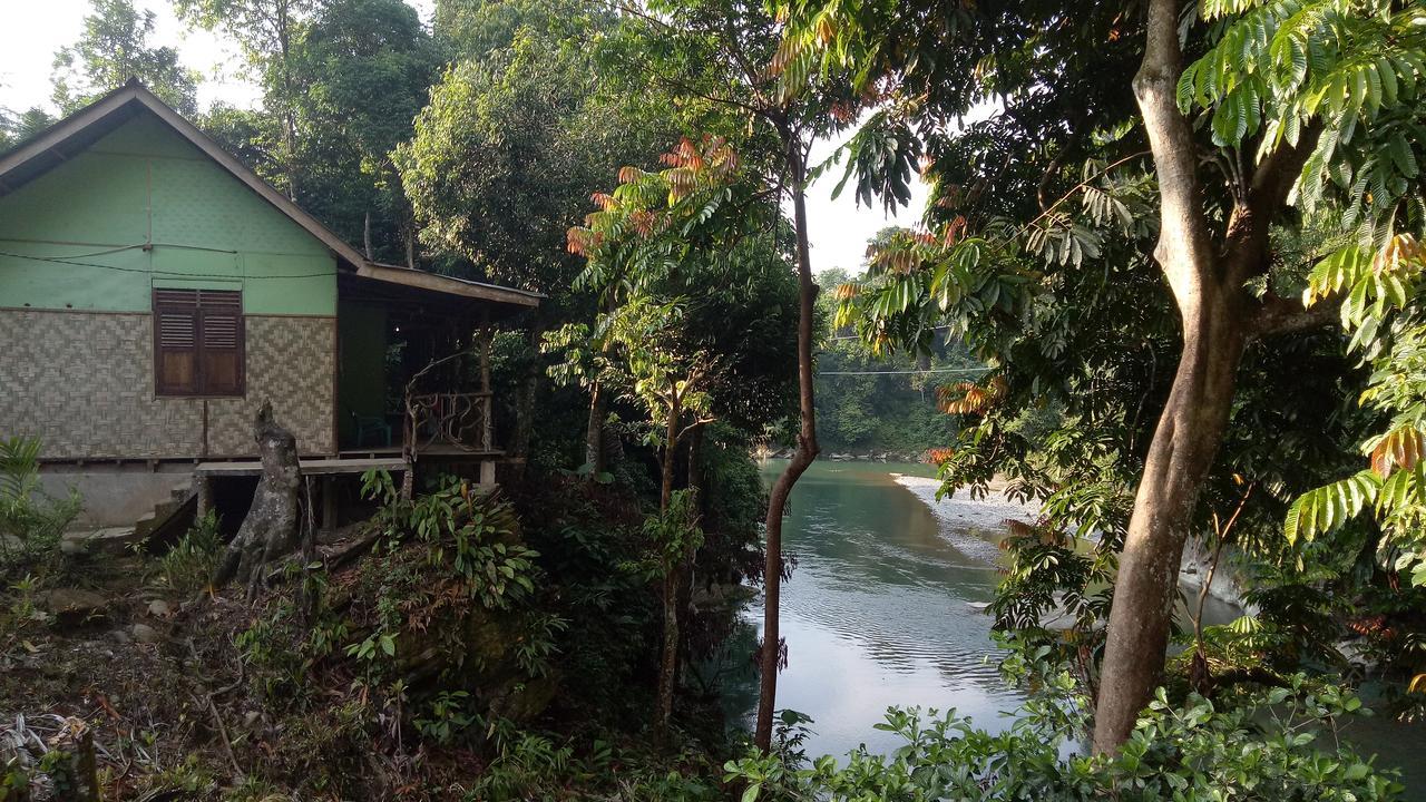 Green Lodge Tangkahan Dış mekan fotoğraf