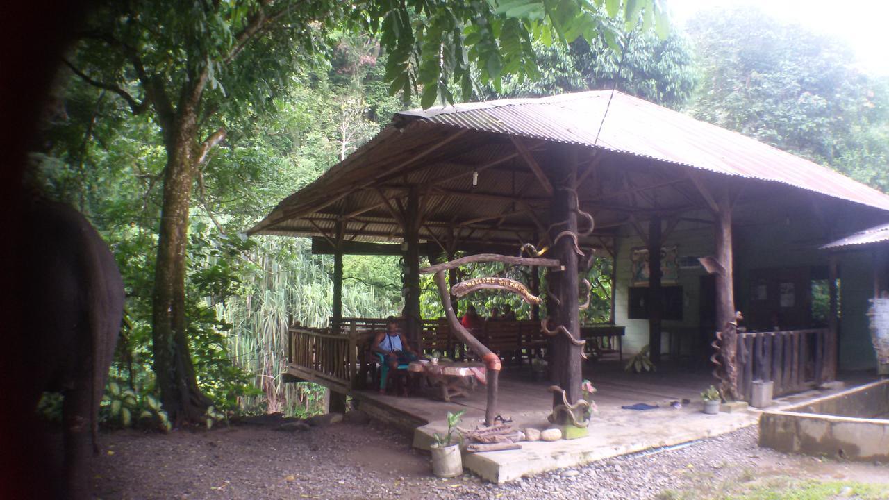 Green Lodge Tangkahan Dış mekan fotoğraf