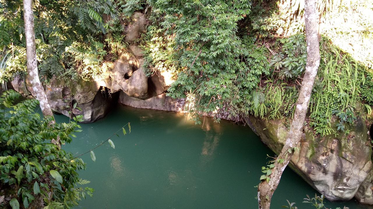 Green Lodge Tangkahan Dış mekan fotoğraf