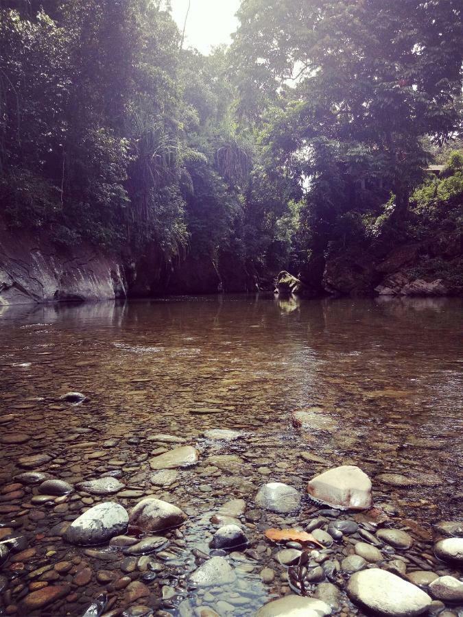 Green Lodge Tangkahan Dış mekan fotoğraf